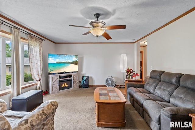 524 6th St, Andover, IL 61233 - carpeted living area with ornamental molding, a ceiling fan, a glass covered fireplace, and a textured ceiling