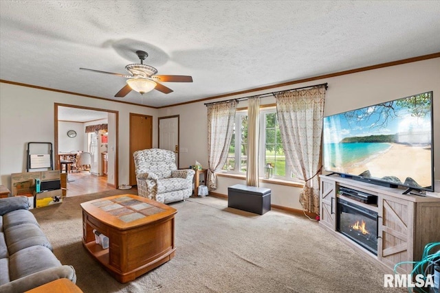 524 6th St, Andover, IL 61233 - living area with a glass covered fireplace, a ceiling fan, carpet, crown molding, and a textured ceiling