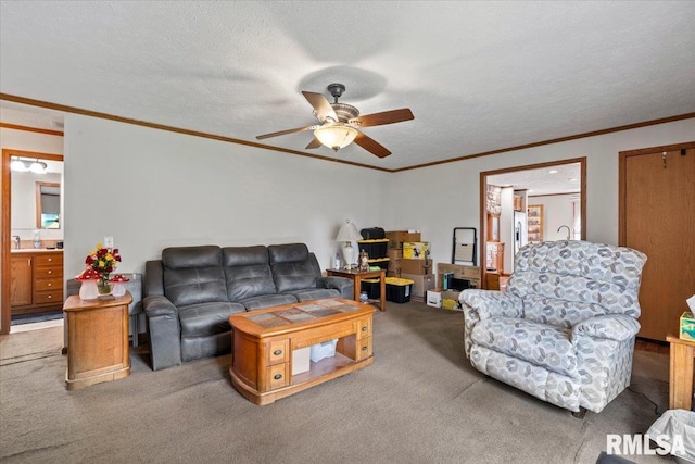 524 6th St, Andover, IL 61233 - living area with ceiling fan, carpet floors, and ornamental molding