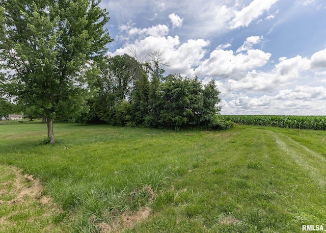 223 4th St E, Andalusia, IL 61232 - photo 28