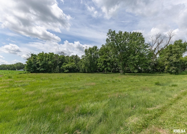 223 4th St E, Andalusia, IL 61232 - photo 29