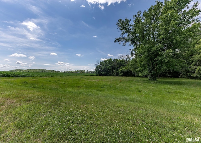 223 4th St E, Andalusia, IL 61232 - photo 30