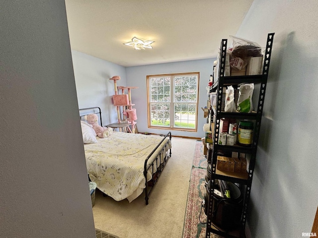 2268 E Knox St, Galesburg, IL 61401 - photo 22