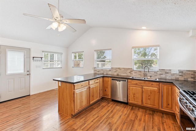 107 S High St, Port Byron, IL 61275 - kitchen with stainless steel dishwasher, range, a peninsula, light wood-style flooring, and lofted ceiling