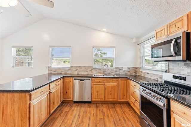 107 S High St, Port Byron, IL 61275 - kitchen featuring stainless steel appliances, lofted ceiling, a peninsula, light wood-style flooring, and plenty of natural light