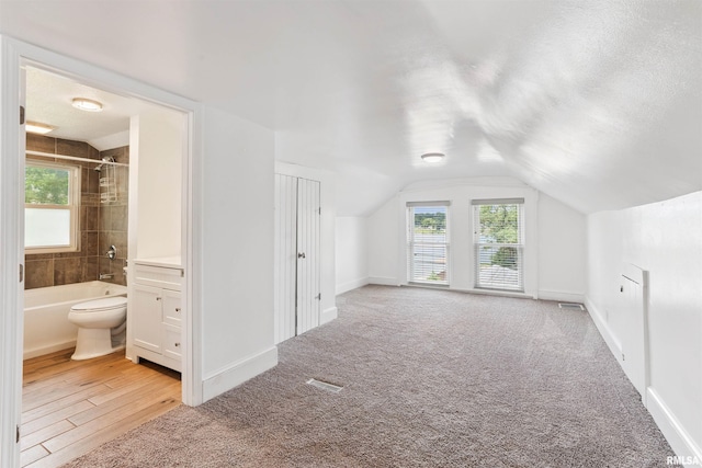 107 S High St, Port Byron, IL 61275 - additional living space featuring plenty of natural light, lofted ceiling, and light carpet