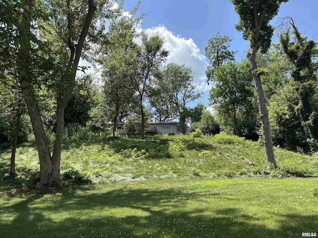 403 N 10th St, Clinton, IA 52732 - photo 4