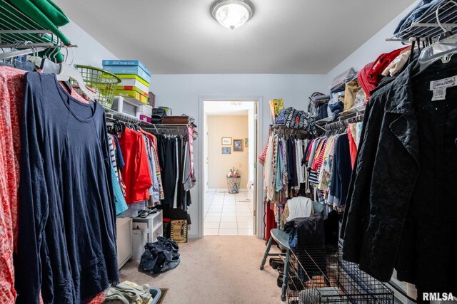 805 New Day Way, Marion, IL 62959 - spacious closet featuring carpet floors