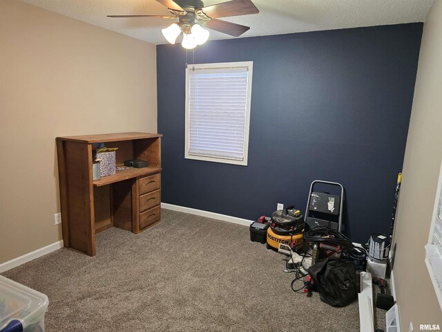 832 9th St, Colona, IL 61241 - photo 18