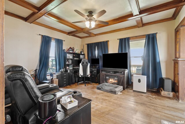 829 Union Ave, Lowden, IA 52255 - living area with coffered ceiling, plenty of natural light, ceiling fan, wood finished floors, and beam ceiling