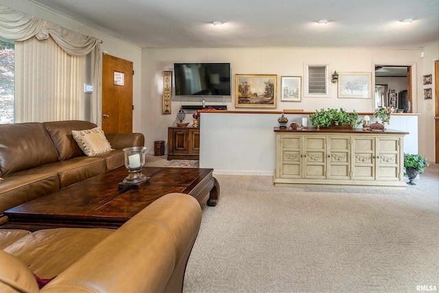 613 S Locust, West Frankfort, IL 62896 - living area with carpet floors and ornamental molding