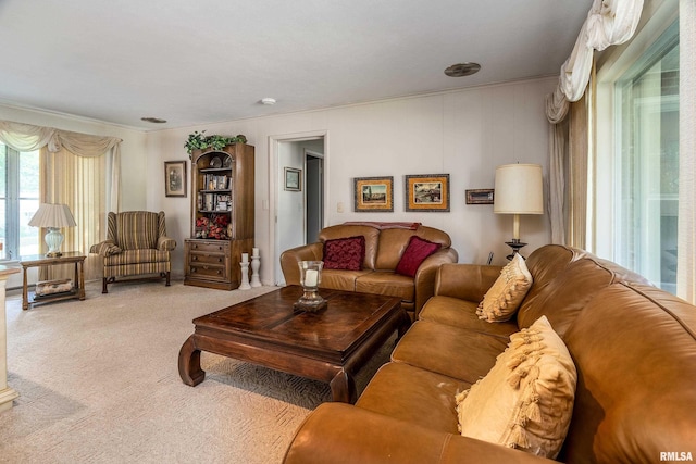 613 S Locust, West Frankfort, IL 62896 - living area featuring light carpet and crown molding