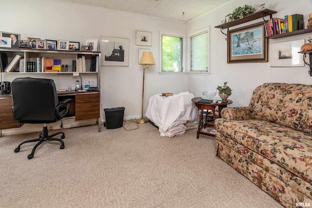613 S Locust, West Frankfort, IL 62896 - carpeted office featuring ornamental molding