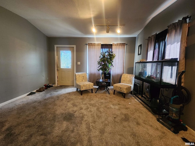 3217 18th Ave, Rock Island, IL 61201 - living area featuring carpet floors and vaulted ceiling