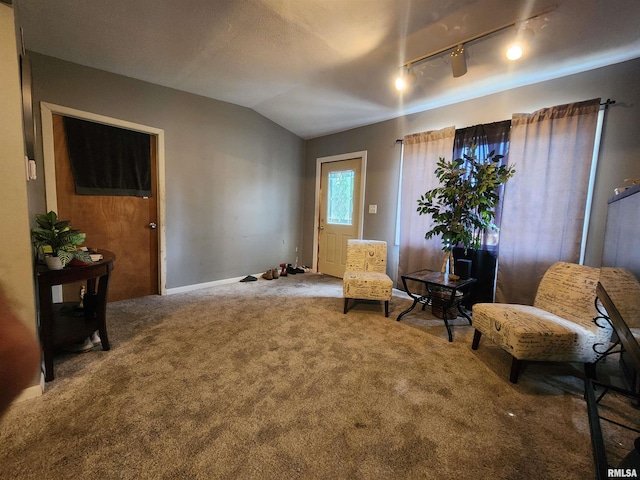 3217 18th Ave, Rock Island, IL 61201 - sitting room with carpet floors, vaulted ceiling, and track lighting