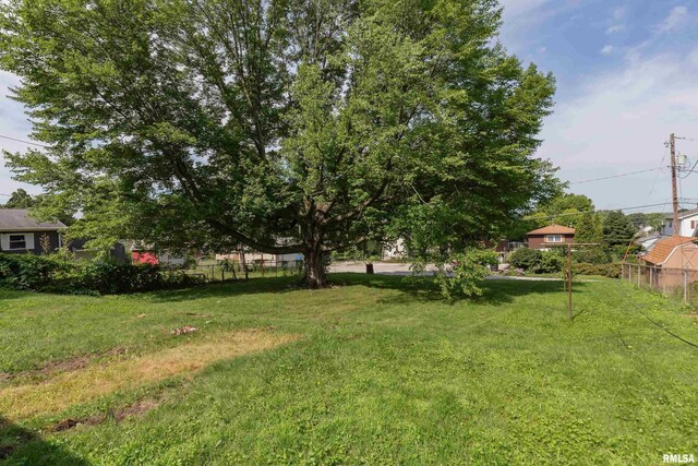 2518 13th St, Rock Island, IL 61201 - view of yard