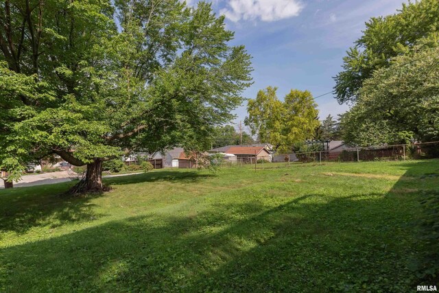 2518 13th St, Rock Island, IL 61201 - view of yard