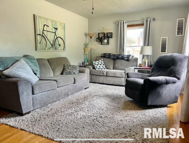 402 SW 7th Ave, Aledo, IL 61231 - living area with wood finished floors