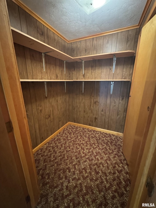 208BAGGOTT None St, Zeigler, IL 62999 - walk in closet with carpet floors