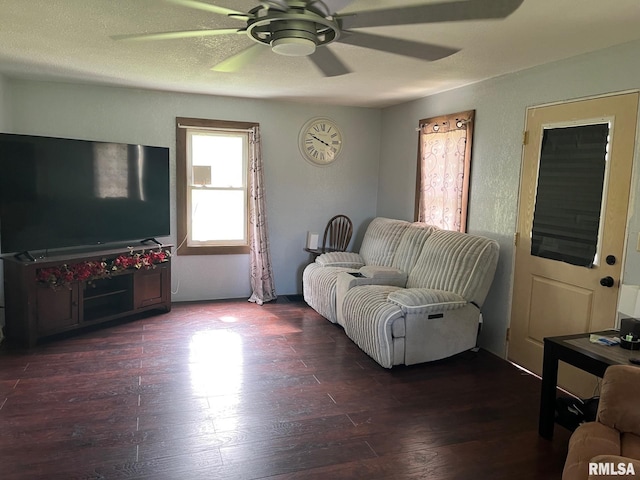 247 W Garfield St, Kewanee, IL 61443 - living room with ceiling fan and wood finished floors