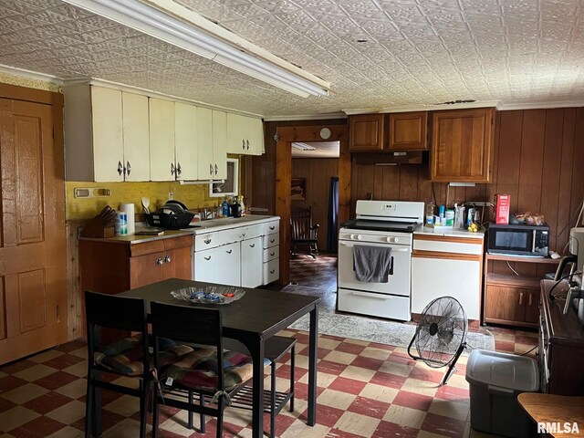 247 W Garfield St, Kewanee, IL 61443 - kitchen featuring white range, light floors, black microwave, under cabinet range hood, and wooden walls