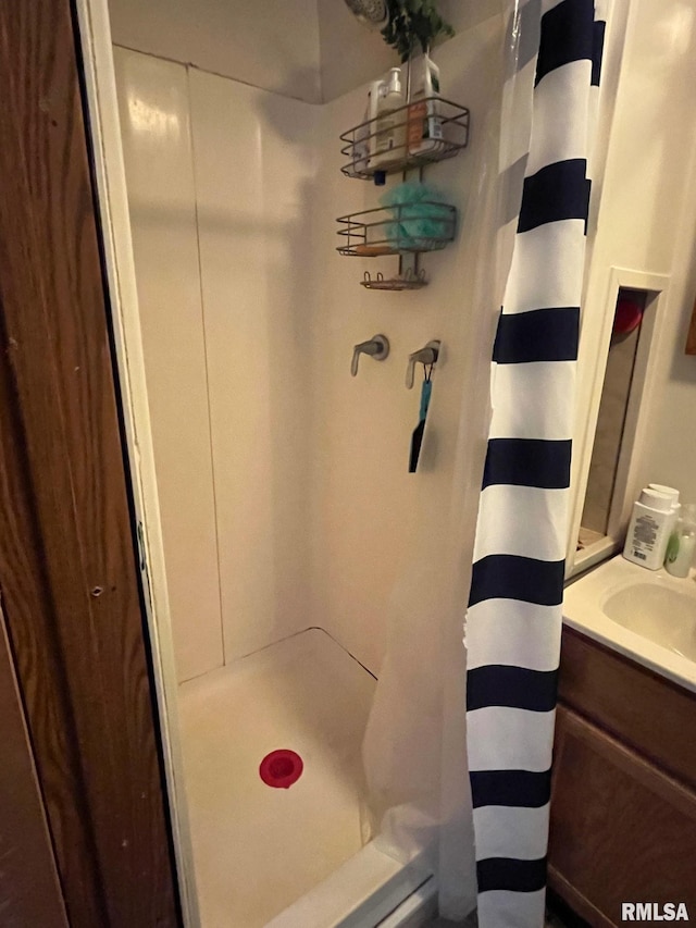 247 W Garfield St, Kewanee, IL 61443 - bathroom with a shower with shower curtain and vanity
