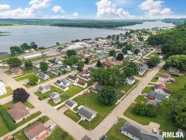 1103 Mulberry St, Bellevue, IA 52031 - photo 15