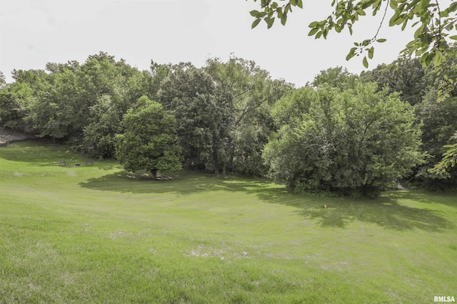 8527 W 17th St, Rock Island, IL 61201 - view of grassy yard