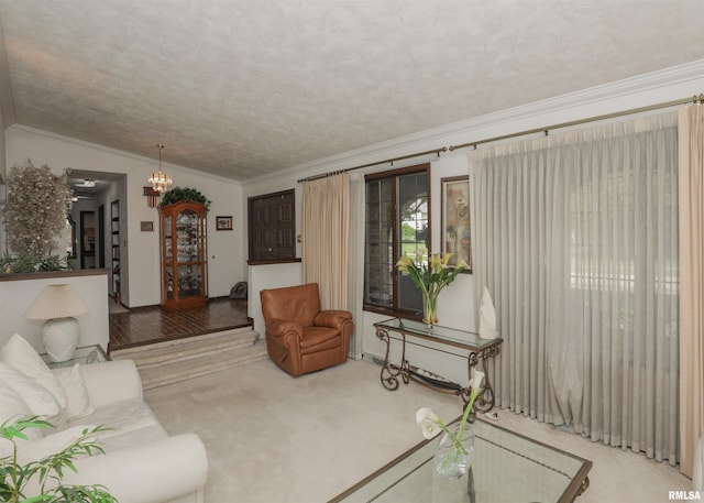 8527 W 17th St, Rock Island, IL 61201 - living room with carpet flooring, crown molding, and a textured ceiling