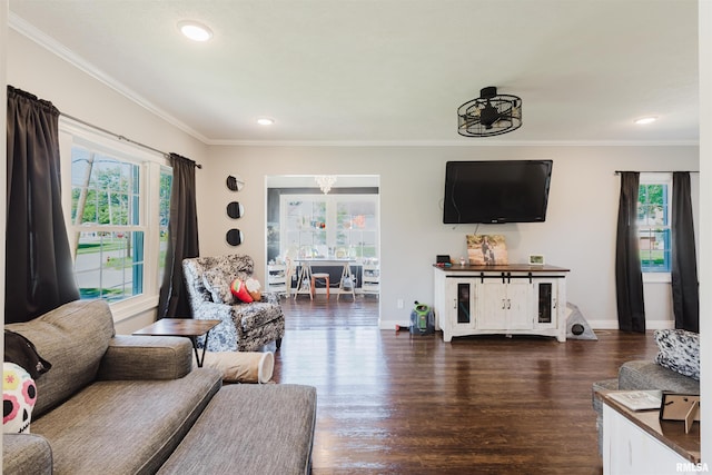 401 W Grand Ave, Carterville, IL 62918 - living area featuring dark wood-style floors, ornamental molding, and recessed lighting