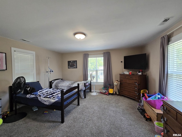 800 13th Ave, Fulton, IL 61252 - view of carpeted bedroom