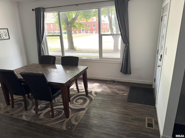 800 13th Ave, Fulton, IL 61252 - dining room featuring dark wood-style floors and healthy amount of natural light