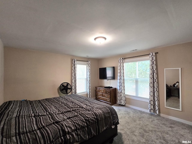 800 13th Ave, Fulton, IL 61252 - bedroom featuring baseboards and carpet flooring