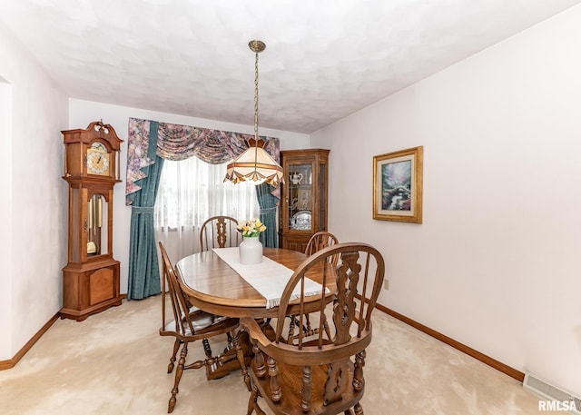 57 Longview Dr, Geneseo, IL 61254 - photo 18