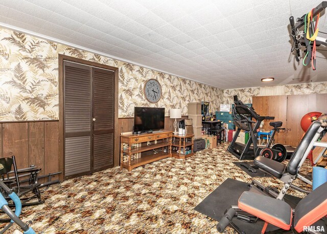 57 Longview Dr, Geneseo, IL 61254 - photo 34