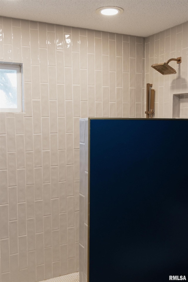 300 S 1st St, Camp Point, IL 62320 - detailed view of a tile shower and a textured ceiling