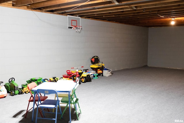 300 S 1st St, Camp Point, IL 62320 - recreation room with concrete block wall