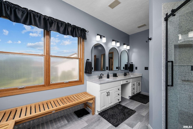 12828 25th Street Ct, Milan, IL 61264 - bathroom with double vanity and a shower stall