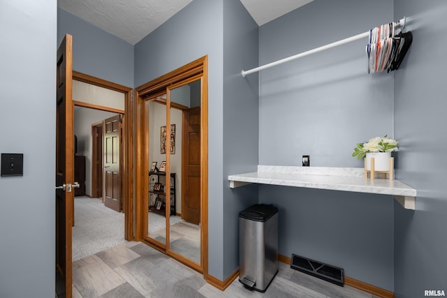 12828 25th Street Ct, Milan, IL 61264 - view of walk in closet