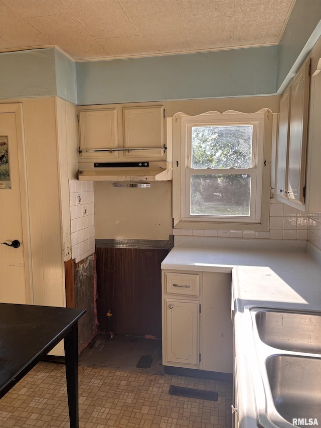 324 S Cottage St, Kewanee, IL 61443 - kitchen with under cabinet range hood and light countertops