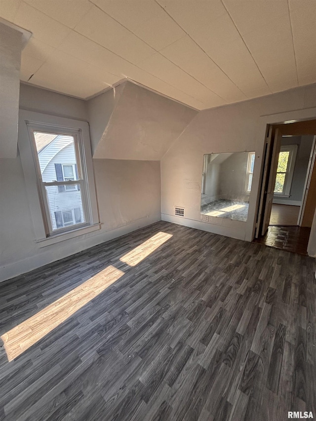 324 S Cottage St, Kewanee, IL 61443 - additional living space with dark wood-type flooring and lofted ceiling