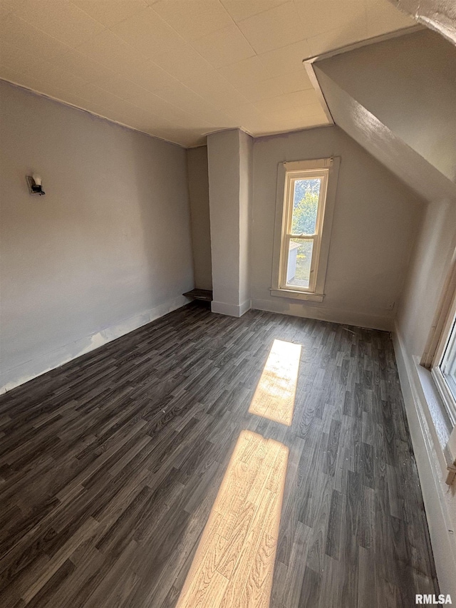 324 S Cottage St, Kewanee, IL 61443 - additional living space featuring dark wood-style flooring and vaulted ceiling