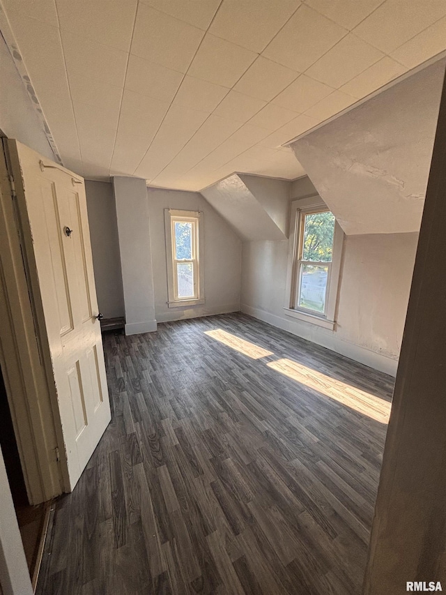 324 S Cottage St, Kewanee, IL 61443 - bonus room featuring dark wood-style floors and lofted ceiling