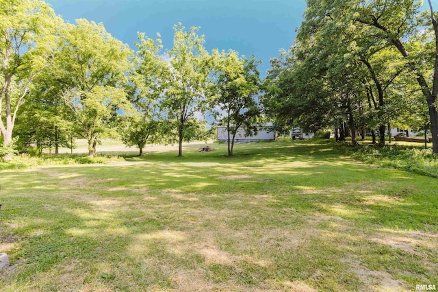 504 E Vermont St, Carterville, IL 62918 - view of grassy yard