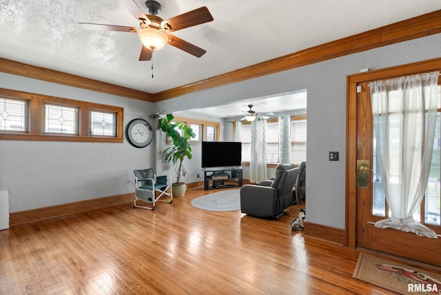 2016 12th St, Rock Island, IL 61201 - living area featuring ceiling fan, wood finished floors, a textured wall, a textured ceiling, and ornamental molding