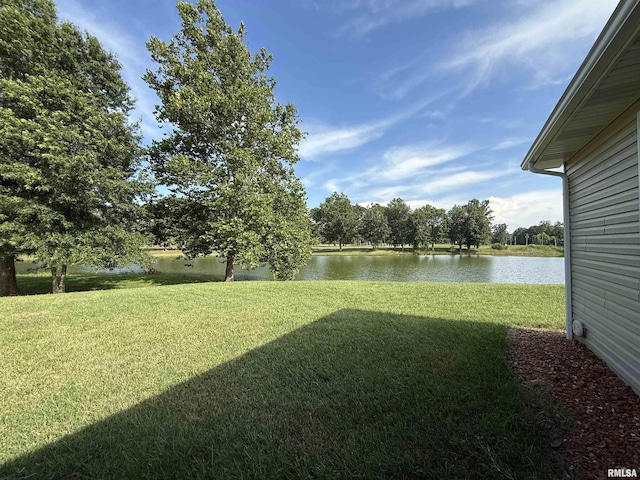 312 Mcvicker Dr, Energy, IL 62933 - view of grassy yard featuring a water view