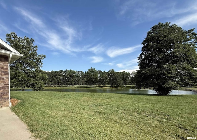 312 Mcvicker Dr, Energy, IL 62933 - view of green lawn with a water view