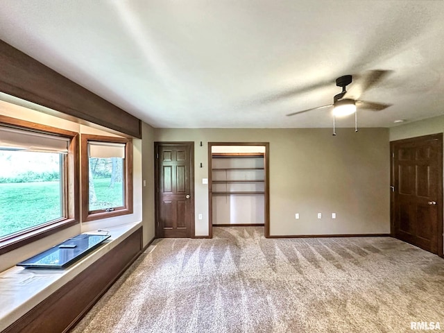 7664 Labrador Ln, Carbondale, IL 62901 - photo 20