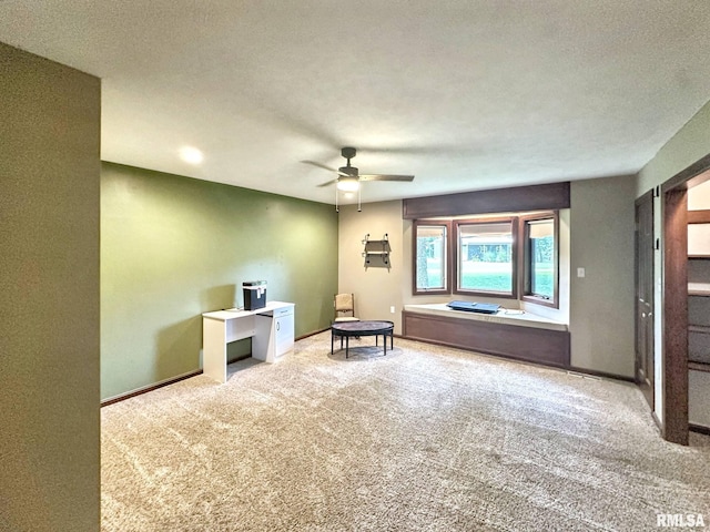 7664 Labrador Ln, Carbondale, IL 62901 - photo 22