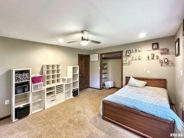 7664 Labrador Ln, Carbondale, IL 62901 - photo 23